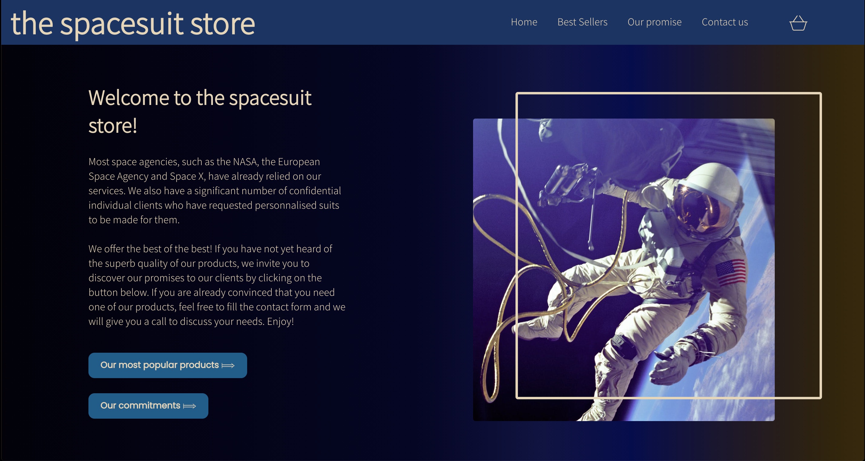 Screenshot of the login page of the project